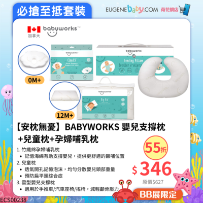 【安枕無憂】BABYWORKS 嬰兒支撐枕+兒童枕+孕婦哺乳枕