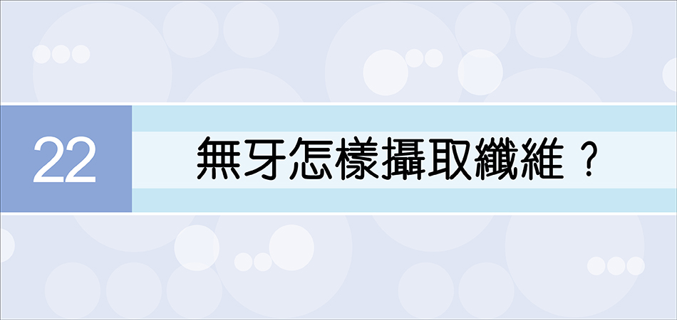 無牙怎樣攝取纖維？