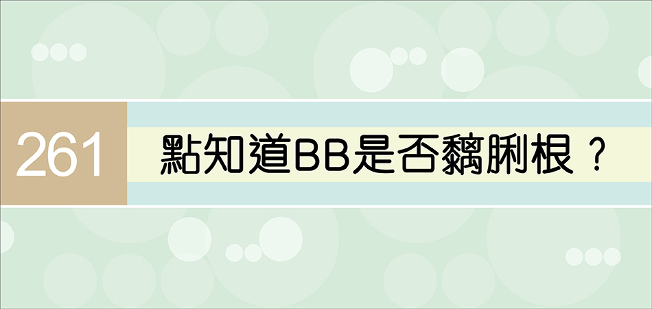 點知道BB是否黐脷根？